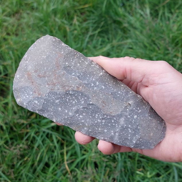 Výukový set – Sekera z kropenatého silicitu – obrázek 2 z 5