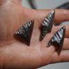 arrowheads