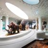 Jeongok Prehistory Museum