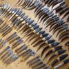 flint knives
