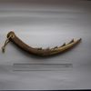 neolithic sickle