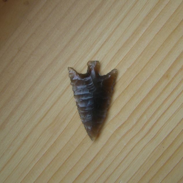 Šipka – Šipka 4 – obrázek 5 z 5